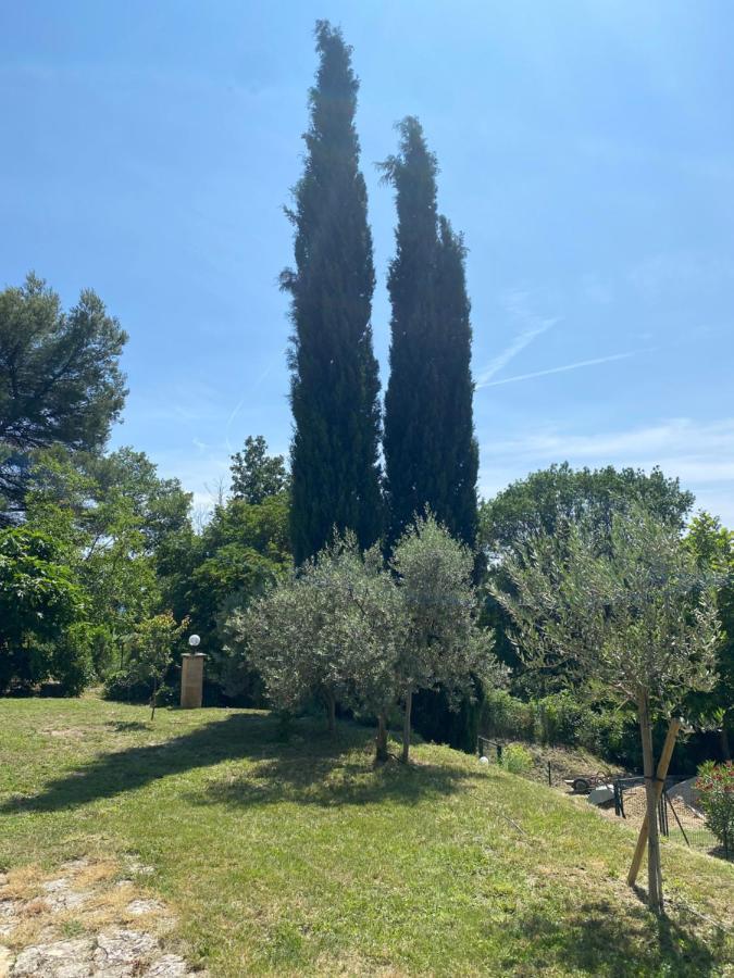 Les Oliviers Villa Vaugines ภายนอก รูปภาพ